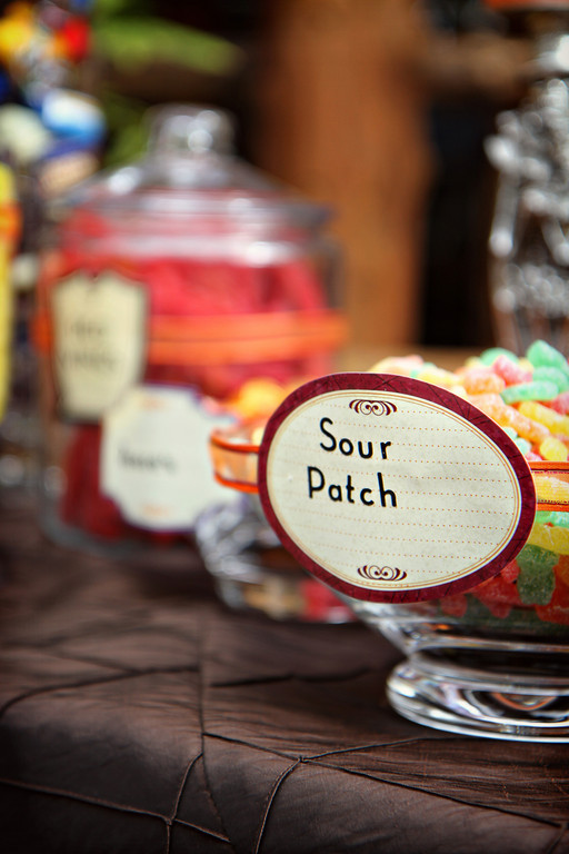 IMAGE: http://jwilsonphotography.smugmug.com/Weddings/Coty-and-Brian/007/1251351777_7B9Tg-XL.jpg