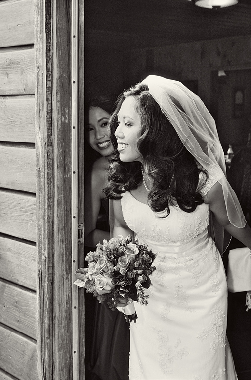 IMAGE: http://jwilsonphotography.smugmug.com/Weddings/Janice-and-Jamie-4310/IMG057/887832290_Dz39V-XL.jpg