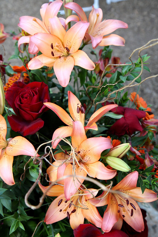 IMAGE: http://jwilsonphotography.smugmug.com/Weddings/Lauren-and-Dave-91909/IMG394/727135265_pcHda-XL.jpg