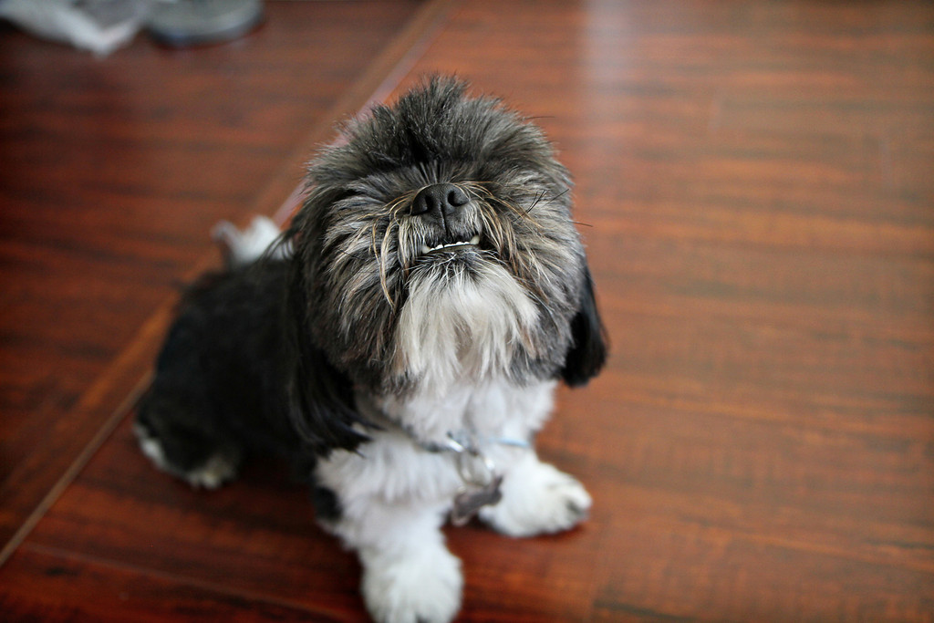 IMAGE: http://jwilsonphotography.smugmug.com/Weddings/Marianne-and-Noy/178/1141114895_RqHuU-XL.jpg