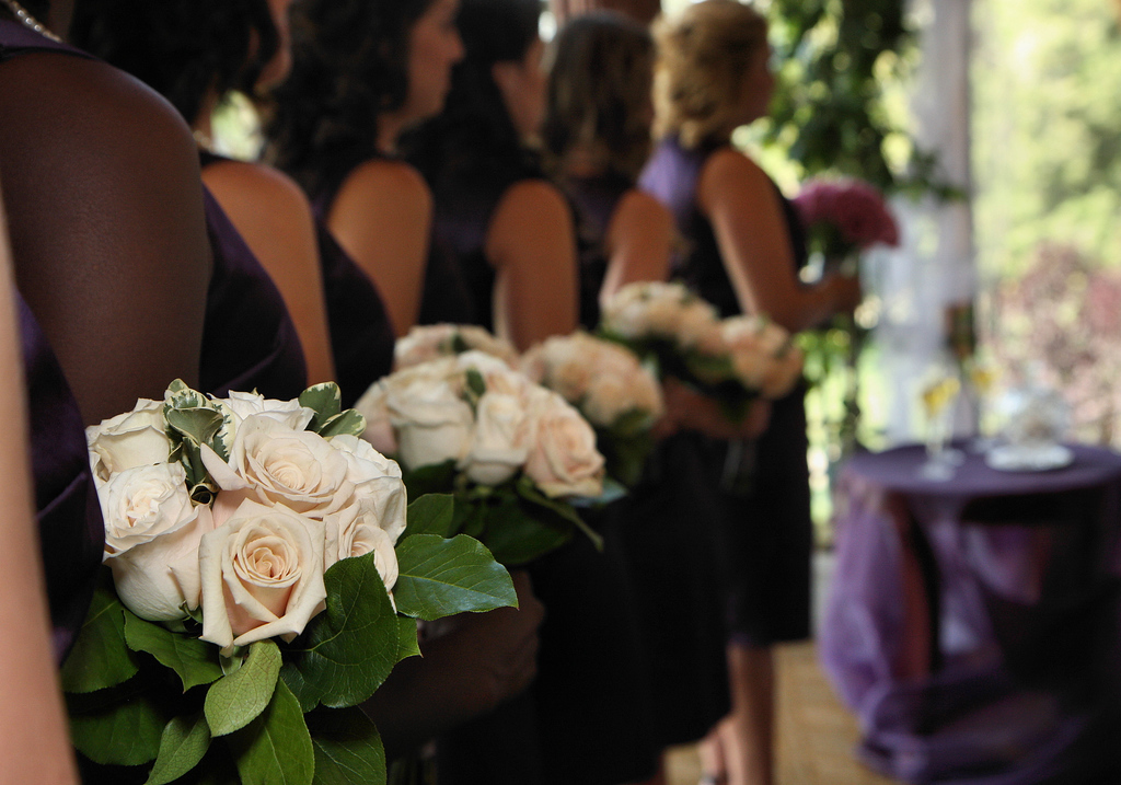 IMAGE: http://jwilsonphotography.smugmug.com/Weddings/Samantha-and-Brian/IMG235/684918256_8cmLS-XL.jpg